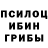 Псилоцибиновые грибы ЛСД themoah1