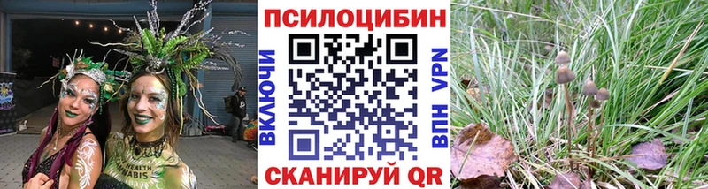 Галлюциногенные грибы Psilocybine cubensis  Балашиха 