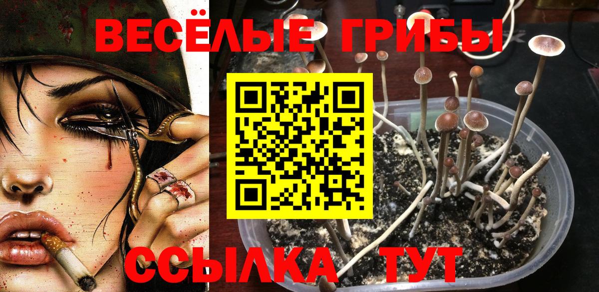 Псилоцибиновые грибы мицелий Балашиха