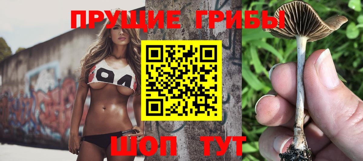 Балашиха  Псилоцибиновые грибы Psilocybine cubensis  Вход с VPN 